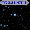 TYC 3135-676-1