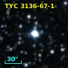 TYC 3136-67-1