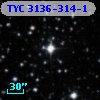 TYC 3136-314-1