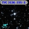 TYC 3136-335-1