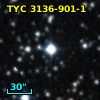 TYC 3136-901-1