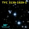 TYC 3139-1929-1