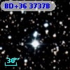 BD+36  3737B
