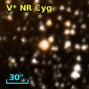 V* NR Cyg