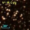 V* IR Cyg