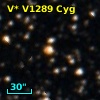 V* V1289 Cyg