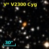 V* V2300 Cyg