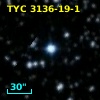 TYC 3136-19-1