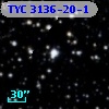TYC 3136-20-1