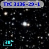 TYC 3136-29-1