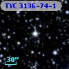 TYC 3136-74-1