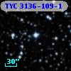 TYC 3136-109-1