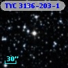 TYC 3136-203-1