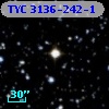 TYC 3136-242-1