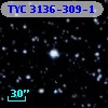 TYC 3136-309-1