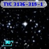 TYC 3136-318-1