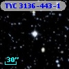 TYC 3136-443-1
