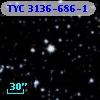 TYC 3136-686-1