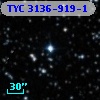 TYC 3136-919-1