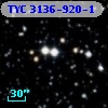 TYC 3136-920-1