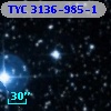 TYC 3136-985-1