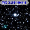 TYC 3137-804-1