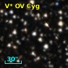 V* OV Cyg