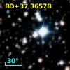 BD+37  3657B