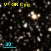 V* OR Cyg