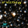 V* V1173 Cyg