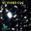 V* V1163 Cyg