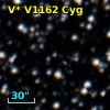 V* V1162 Cyg
