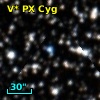 V* PX Cyg