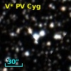 V* PV Cyg