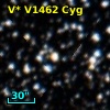 V* V1462 Cyg