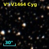 V* V1464 Cyg