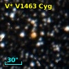 V* V1463 Cyg