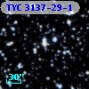 TYC 3137-29-1
