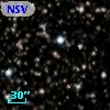 NSV 12621