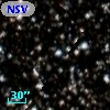 NSV 12730