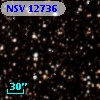 NSV 12736