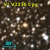 V* V2236 Cyg