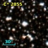 C* 2855