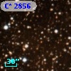C* 2856