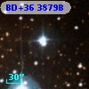 BD+36  3879B