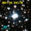 BD+36  3917B