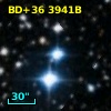 BD+36  3941B