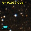V* V1037 Cyg