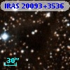 IRAS 20093+3536
