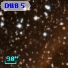DWB   5